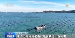 农交会初次设立身牌专区